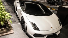 Cars Lamborghini Supercars LP560