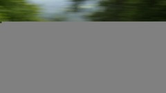 Cars motion blur Lancia Stratos