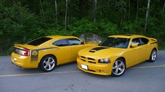 Cars muscle cars dodge charger Super Bee