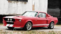 Cars muscle cars vehicles