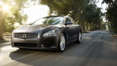 Cars Nissan Nissan Maxima