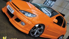 Cars Peugeot tuning 206
