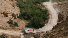 Cars rally ford focus