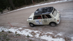 Cars rally Mini Cooper