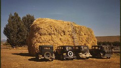 Cars retro hay vintage USA colored 1940
