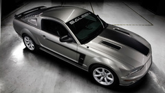 Cars Saleen vehicles Ford