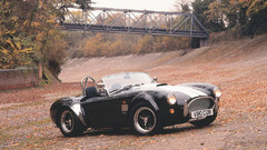 Cars shelby cobra