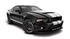 Cars Shelby MJ Shelby GT500 2013