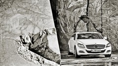 Cars shooting mercedes benz cls