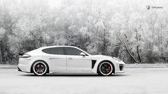 Cars stingray Porsche Panamera