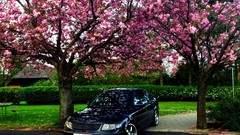 Cars Volkswagen turbo volkswagen passat flowered trees VW 