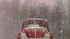 Cars Volkswagen volkswagen beetle