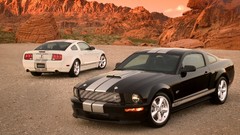 Cars white cars Ford