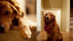 Carsington Water England