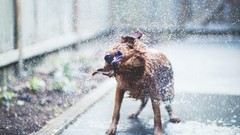 Carsington Water England