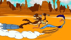 Cartoons looney tunes roadrunner Wile E. Coyote