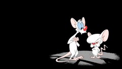 Cartoons Pinky and the