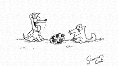 Cartoons simons cat