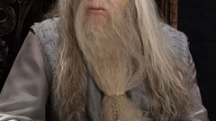 Cast harry potter warner bros Albus Dumbledore Michael Gambon