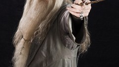 Cast harry potter warner bros Albus Dumbledore Michael Gambon