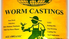 Castingsif You re looking