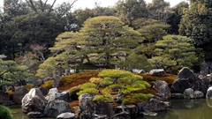 Castle Gardens trip This took nijo