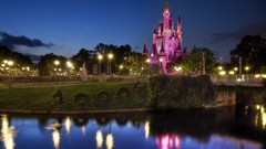 Castles cityscapes Garden Disneyland