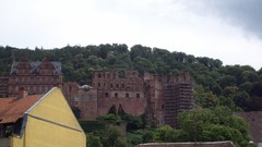 Castles Heidelberg