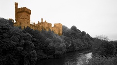 Castles irish selective coloring