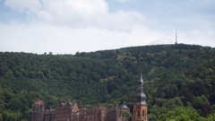 Castles rivers Heidelberg