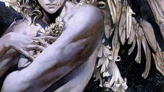 Castlevania angels Ayami Kojima Castlevania Dawn Of Sorrow