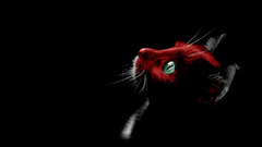 Cat devil painting high just This finished Resolution