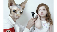 Cat high creepy medical Resolution