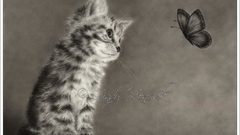 Cats Animals artwork Kittens