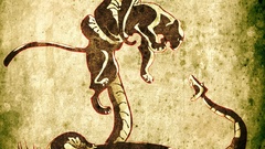 Cats Animals fight snakes