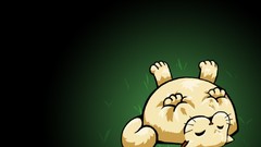 Cats Animals grass fat