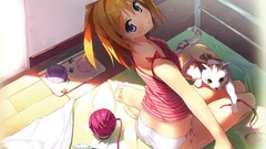 Cats anime girls original characters Kantoku (artist) Miyaguchi 