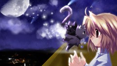 Cats anime girls Starry Night