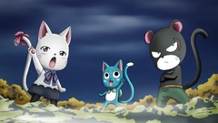 Cats Anime happy fairy tail Happy (Fairy Tail)