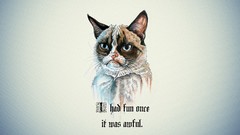 Cats artwork grumpy cat Simple Background I had fun once