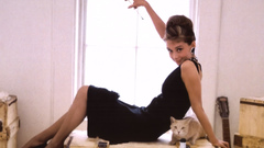 Cats Audrey Hepburn window