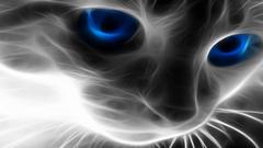 Cats blue eyes Fractalius