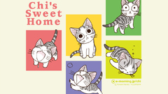 Cats Chi's Sweet Home