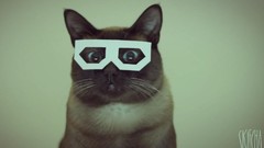 Cats dubstep Stereo Skifcha