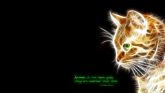 Cats Fractalius