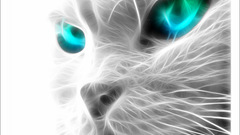 Cats Fractalius