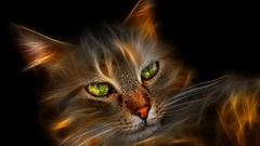 Cats Fractalius