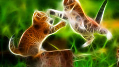 Cats Fractalius jumping Kittens