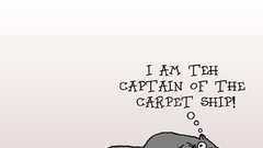 Cats funny carpet lolcat