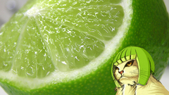 Cats funny lemons